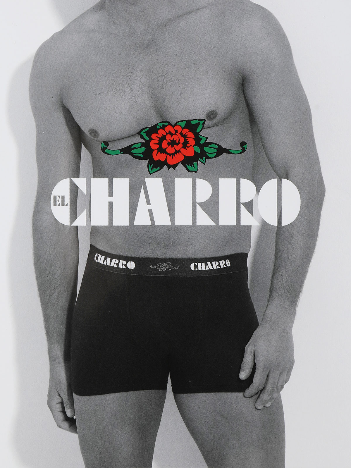 Tripack Boxer in cotone elastico in vita con scritta marchio CHARRO